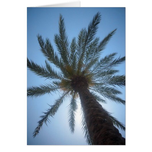PALM TREE CARDS (Front)