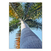 Palm Tree Cards (Front)