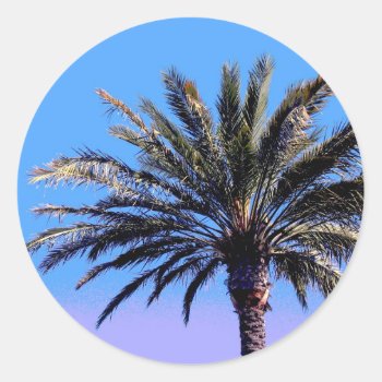 Palm Tree Classic Round Sticker by DonnaGrayson_Photos at Zazzle
