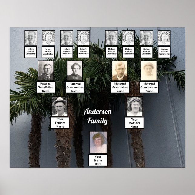 Palm Tree Cluster Photo Family Tree Poster (Front)