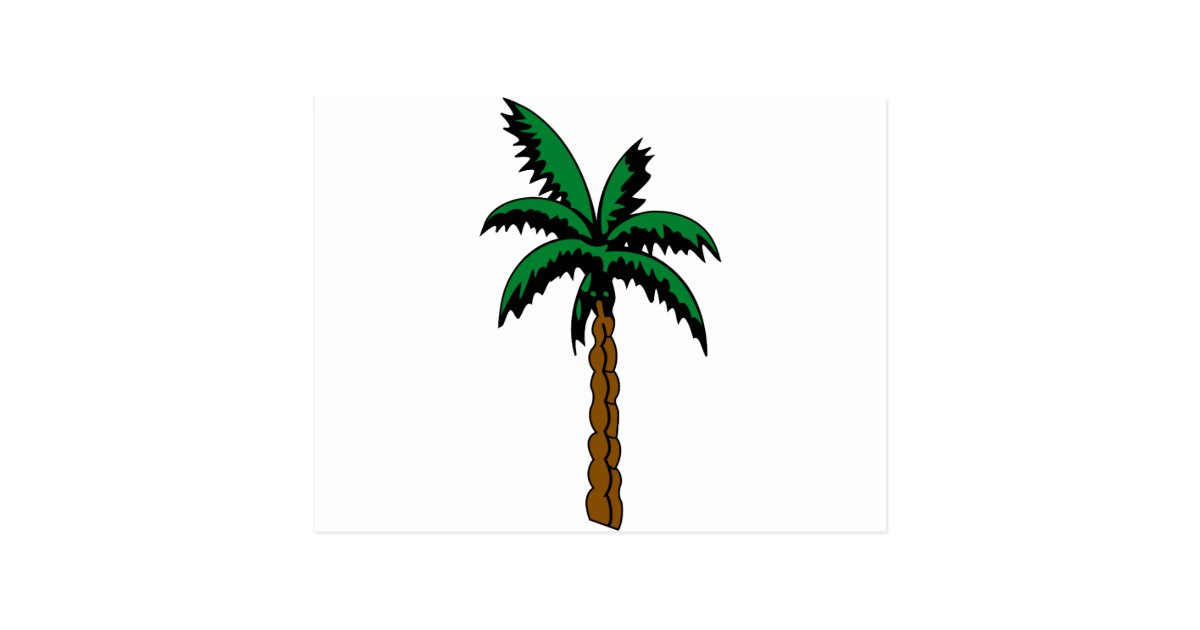 Palm Tree Drawing Postcard Zazzle Com
