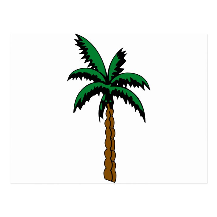 Palm Tree Drawing Postcard Zazzle Com