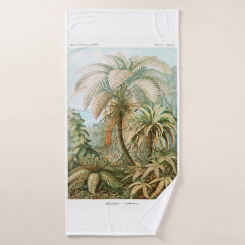 Palm Tree Ernst Haeckel  Bath Towel