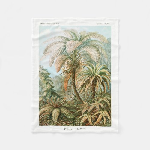 Palm Tree Ernst Haeckel  Fleece Blanket