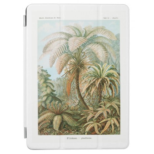 Palm Tree Ernst Haeckel  iPad Air Cover