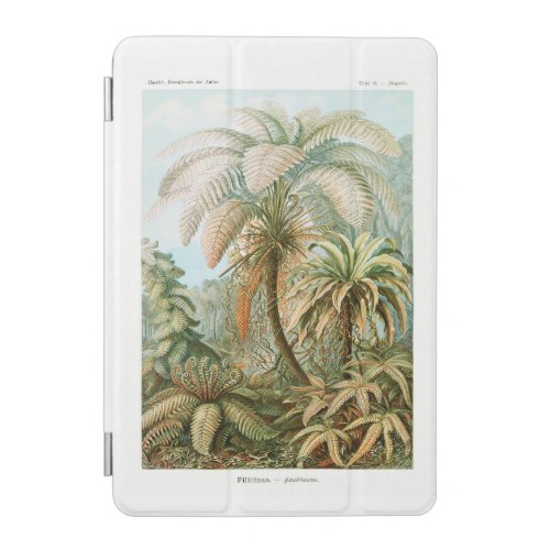 Palm Tree Ernst Haeckel  iPad Mini Cover