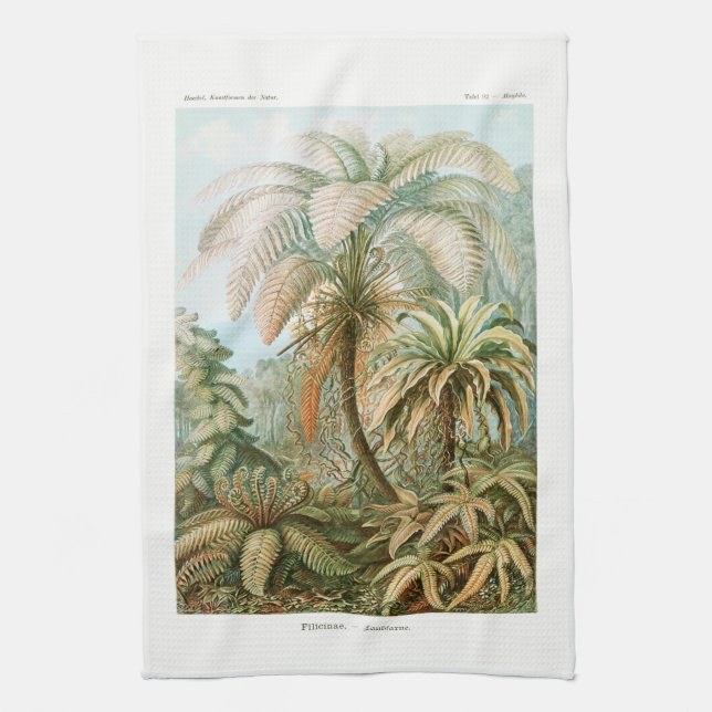 Palm Tree Ernst Haeckel  Kitchen Towel (Vertical)