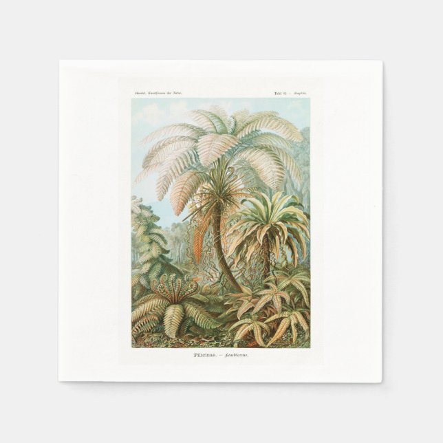 Palm Tree Ernst Haeckel    Napkins (Front)