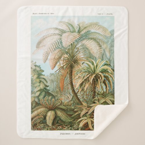 Palm Tree Ernst Haeckel Sherpa Blanket