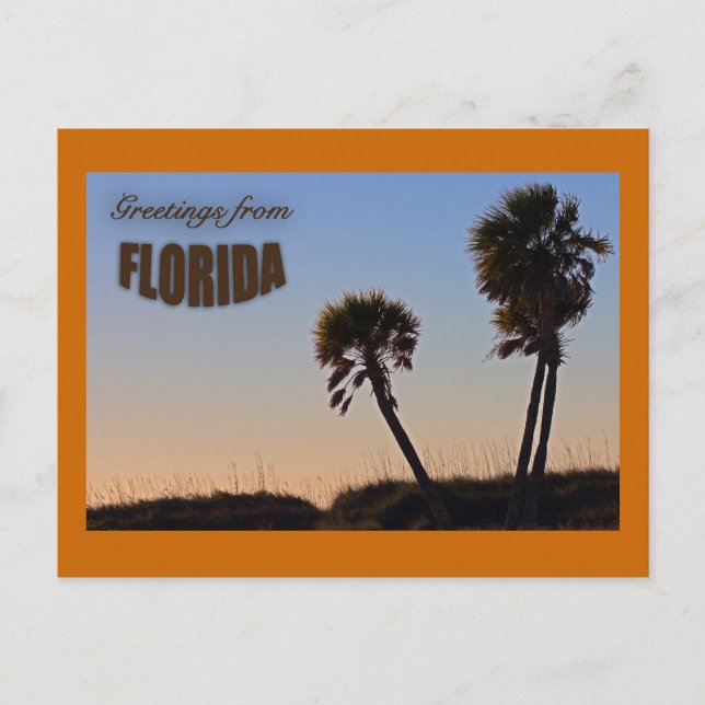 Palm Tree Florida Post Card (Front)