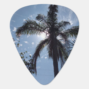 Palm Tree Guitar Pick
