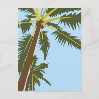 Palm Tree Hawaii Travel