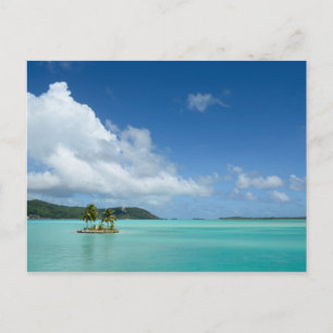 Palm tree in Bora Bora lagoon postcard