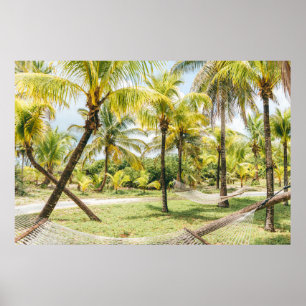 Palm tree in the morning poster