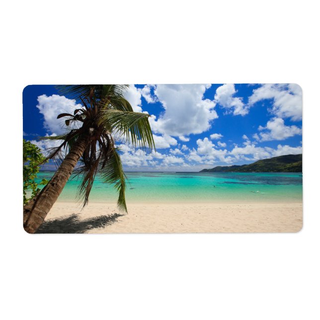 Palm tree label (Front)