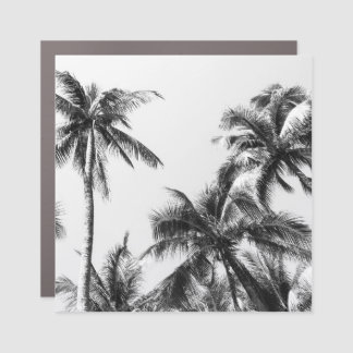 Palm Tree Leaf Black White Car Magnet