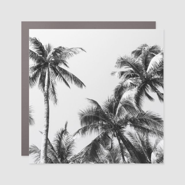 Palm Tree Leaf Black White Car Magnet (Front)
