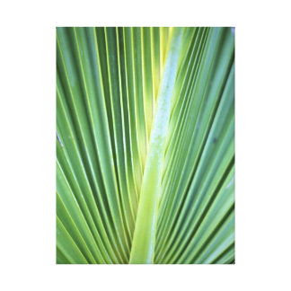 Palm Leaf Art & Framed Artwork | Zazzle
