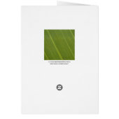 Palm Tree Leaf Cards (Back)
