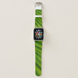 Palm tree leaf james palm trees apple watch band