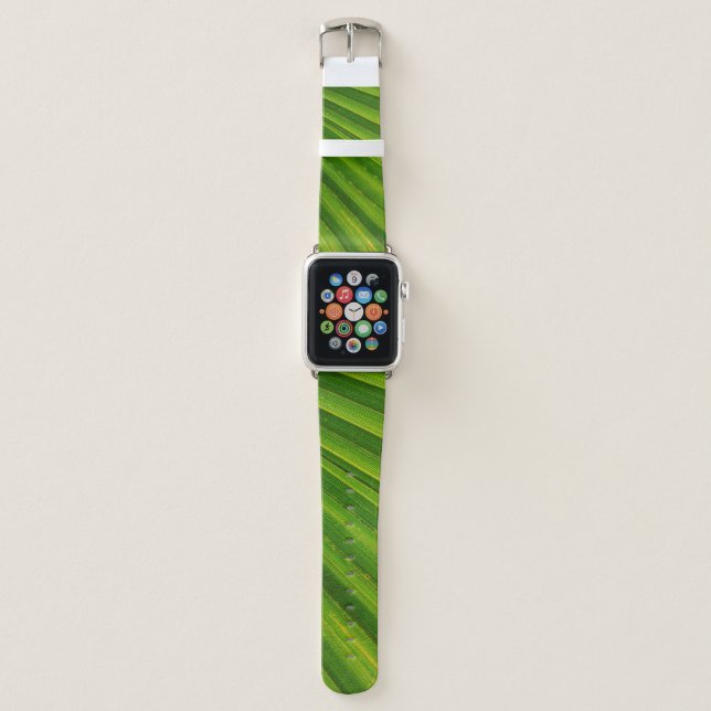 Palm tree leaf james palm trees apple watch band (Front)