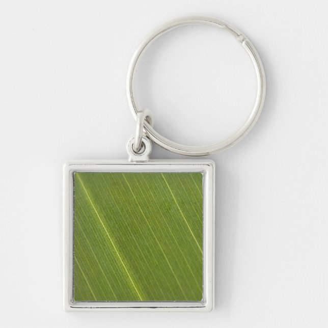 Palm Tree Leaf Keychain (Front)