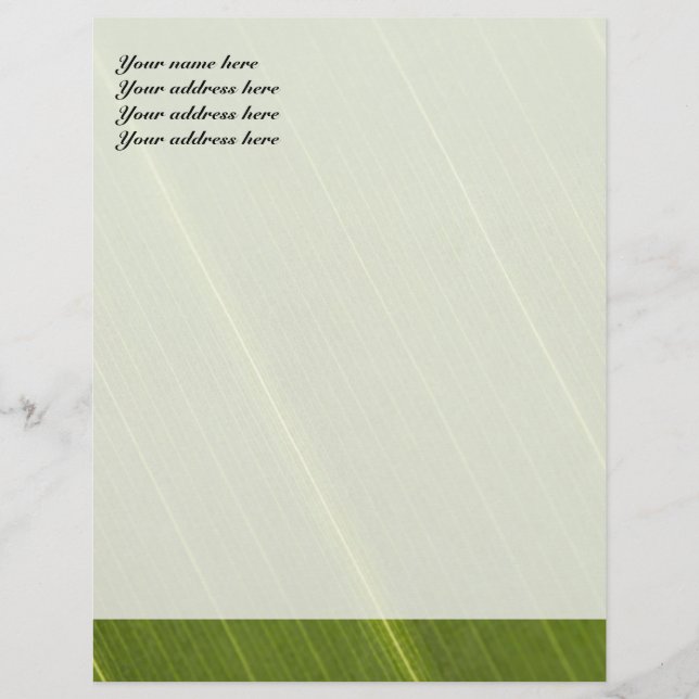 Palm Tree Leaf Letterhead Design (Front)