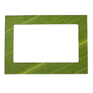 Palm Tree Leaf Magnetic Photo Frame