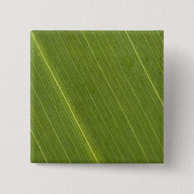 Palm Tree Leaf Pinback Button (Front)