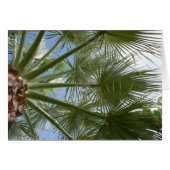 Palm Tree Leaves (Front Horizontal)