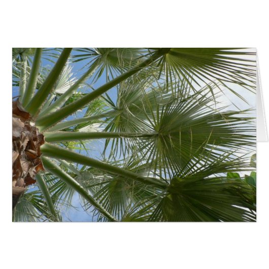 Palm Tree Leaves (Front Horizontal)