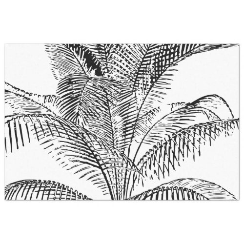 Palm Tree Leaves Black  White Abstract Pattern Tissue Paper