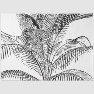 Palm Tree Leaves Black & White Abstract Pattern Tissue Paper