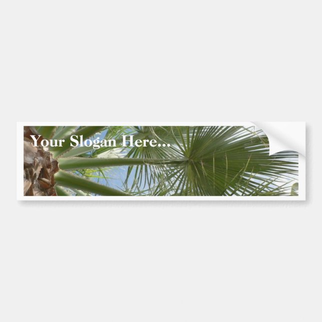 Palm Tree Leaves Bumper Sticker (Front)