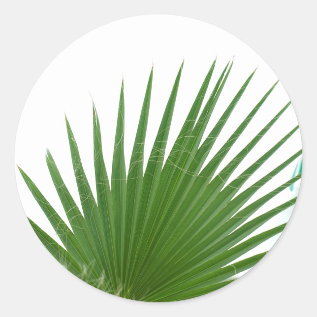 Palm tree leaves classic round sticker (Front)