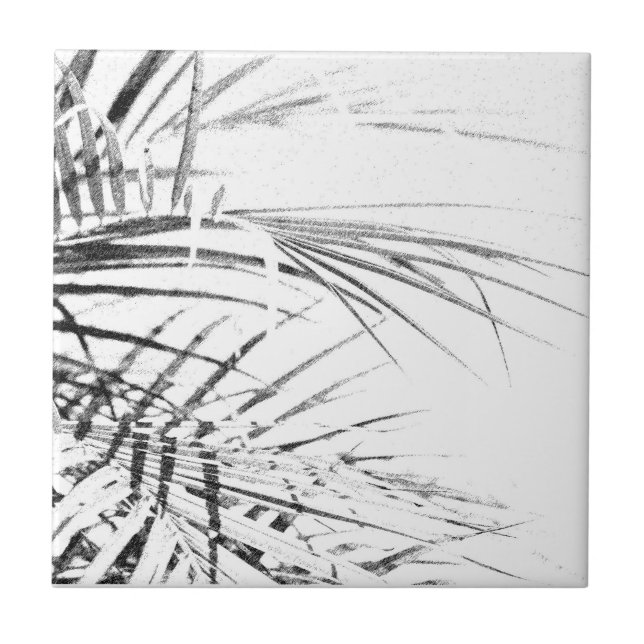 Palm Tree Leaves Minimalism Sketch Ceramic Tile (Front)