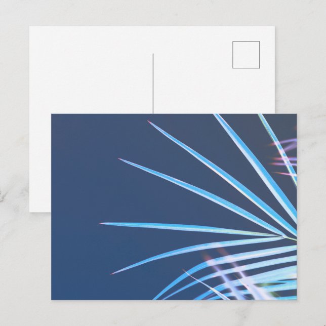 Palm Tree Leaves Minimalism Sketch Postcard (Front/Back)