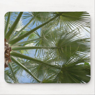 Palm Tree Leaves Mouse Pad