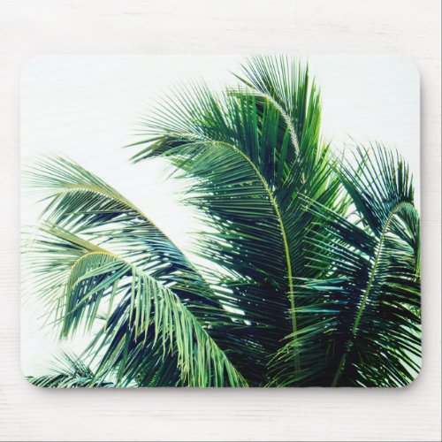 Palm Tree Leaves Mouse Pad