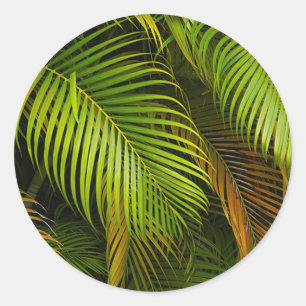 Palm Tree Leaves Summer Beach Tropical Wedding Classic Round Sticker