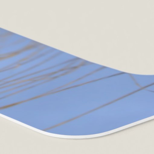 Palm Tree License Plate Frame Zazzle palm-tree-license-plate-frame-zazzle