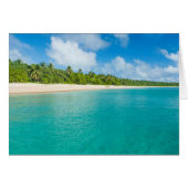 Palm tree lined beach, Tonga (Front Horizontal)