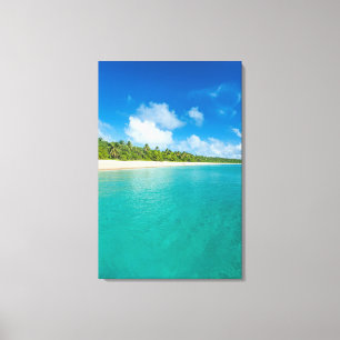 Palm tree lined beach, Tonga Canvas Print