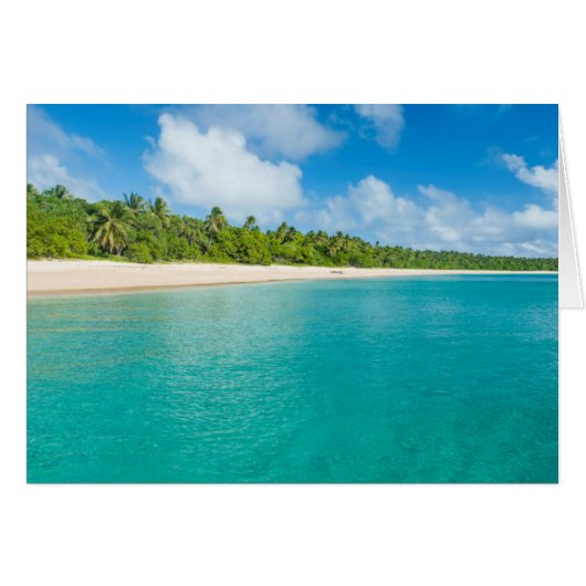 Palm tree lined beach, Tonga Cards (Front Horizontal)