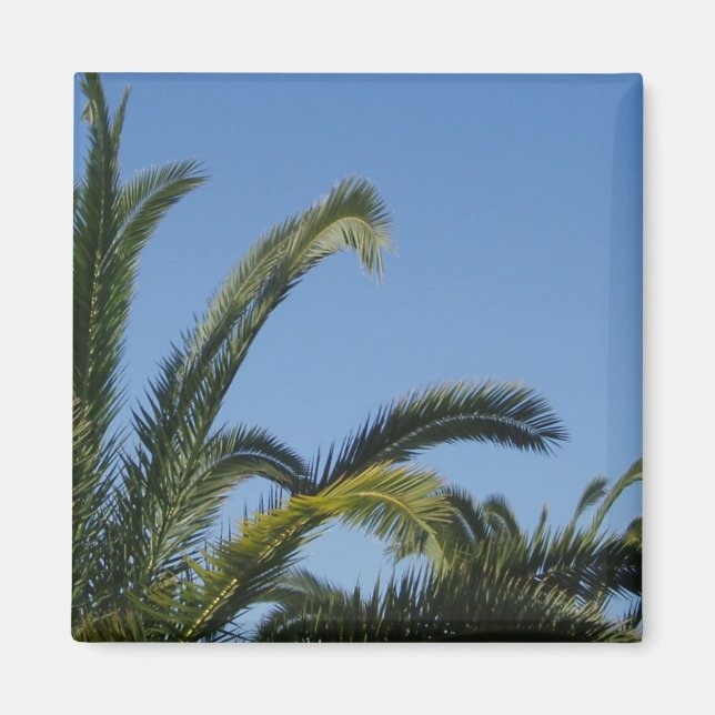 Palm Tree Magnet (Front)