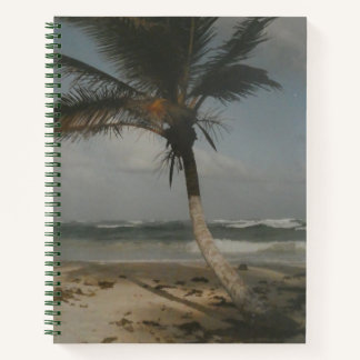 Palm Tree, Mexico Destination TULUM Notebook