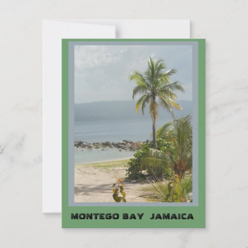 Palm Tree Montego Bay Jamaica  Postcard