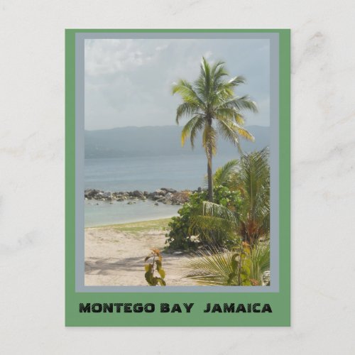 Palm Tree Montego Bay Jamaica Postcard