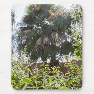 Palm Tree Mouse Pad