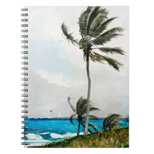 Palm Tree Nassau 1898 by Winslow Homer Notebook